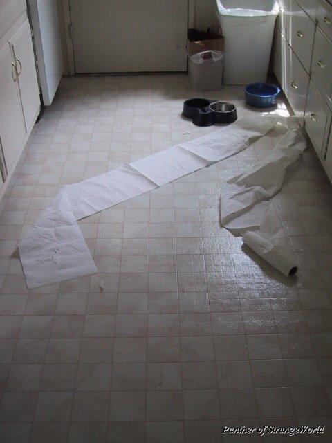 CatsCleaningUp
