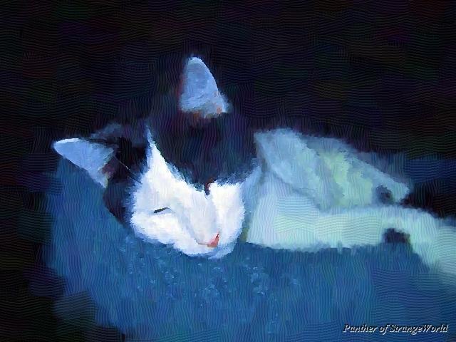 sleepingtroubleinoil
