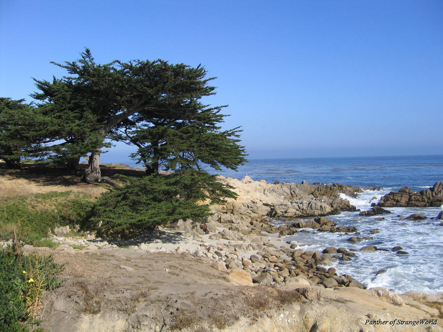 Coast