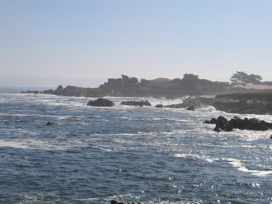 Ocean