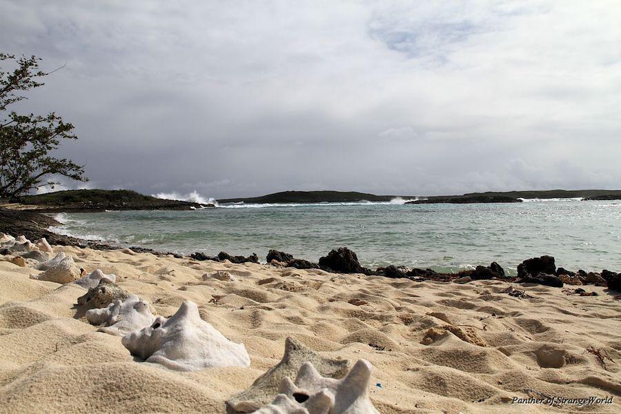 23 Tahiti Beach 3