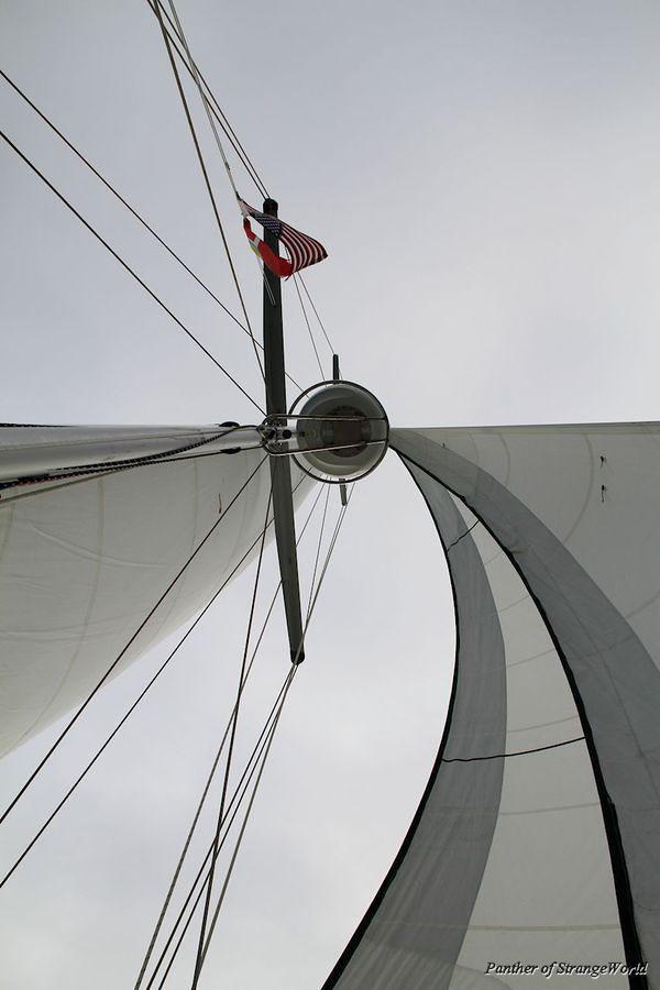 31 Sails