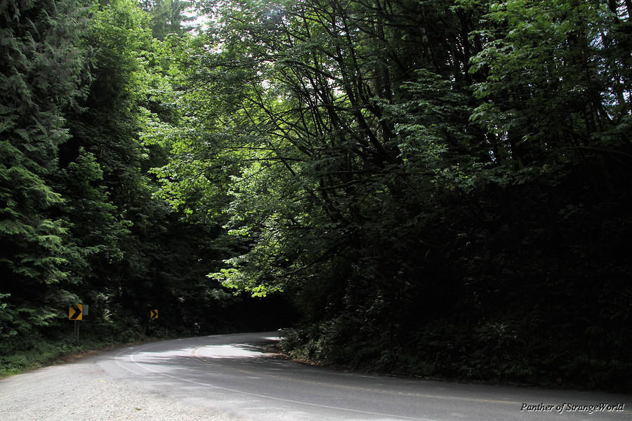 01 - Washington Highway (3600)