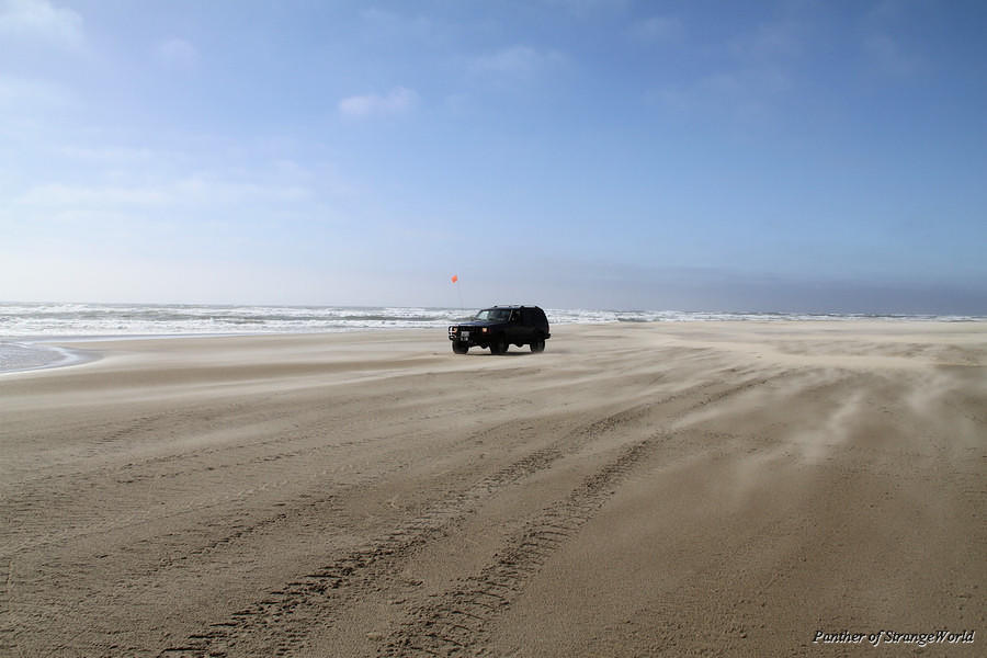 11 - Windy Sand (4049)