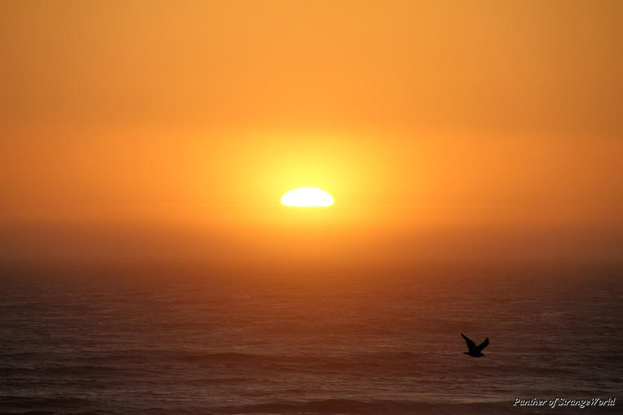20 - Sunset (4258)