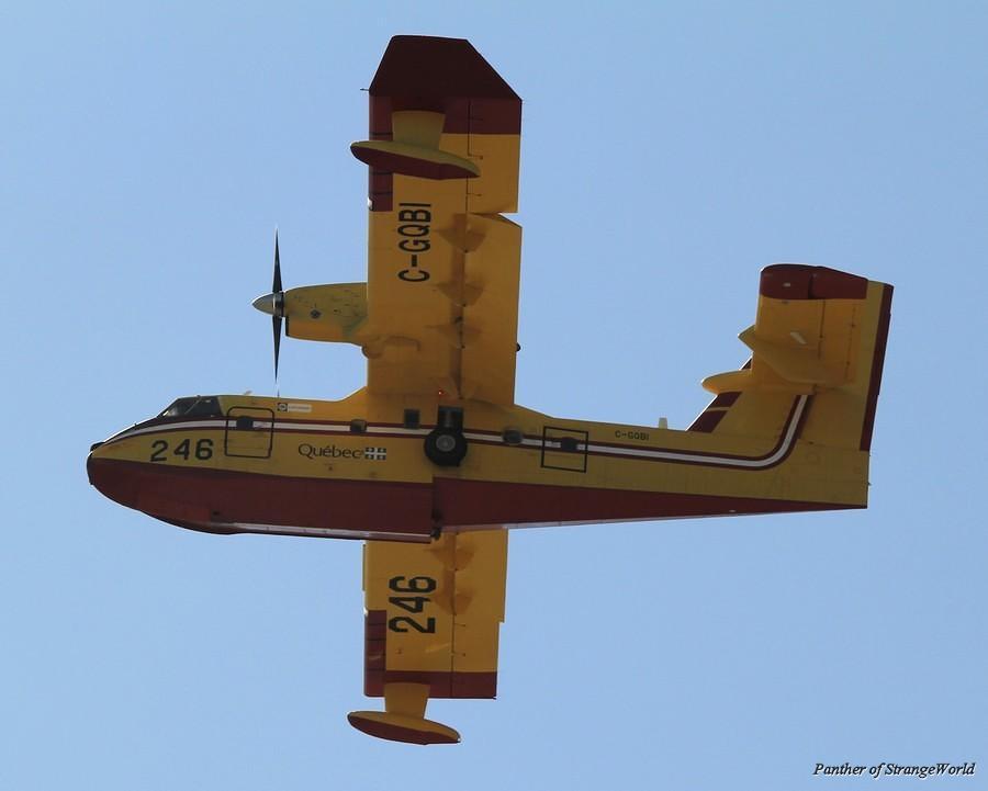 IMG 9076