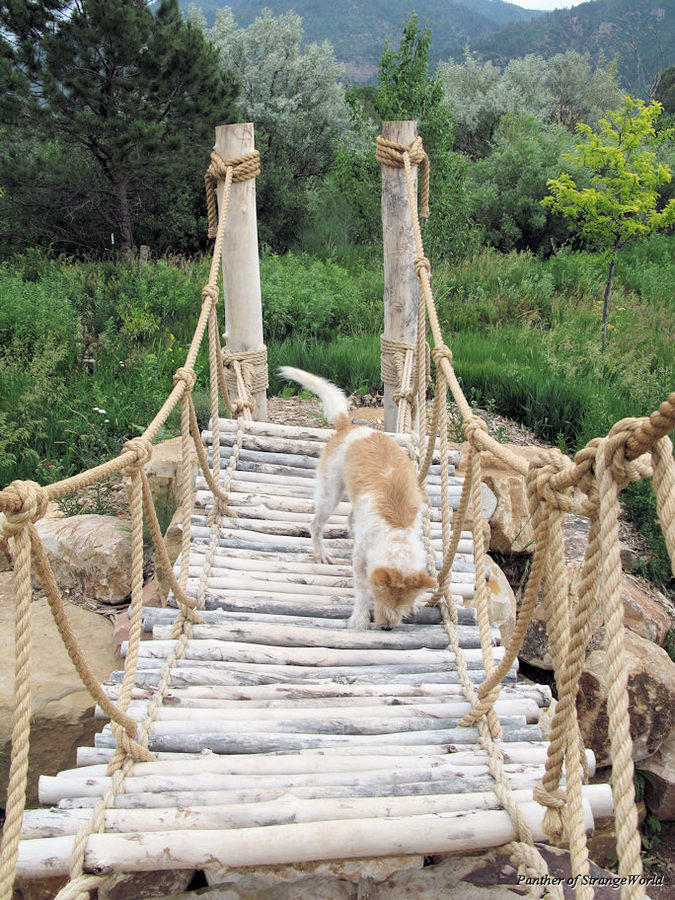 06 - Bridge