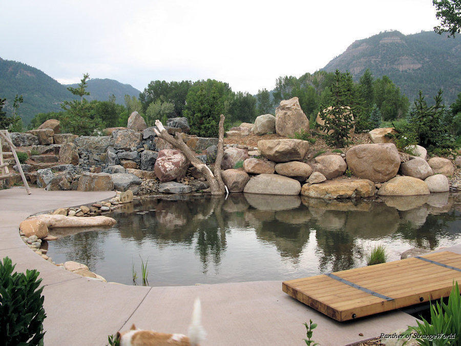 09 - Pond