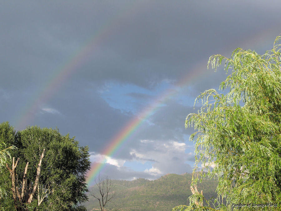13 - Rainbows1