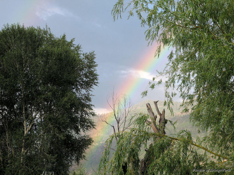 14 - Rainbows2