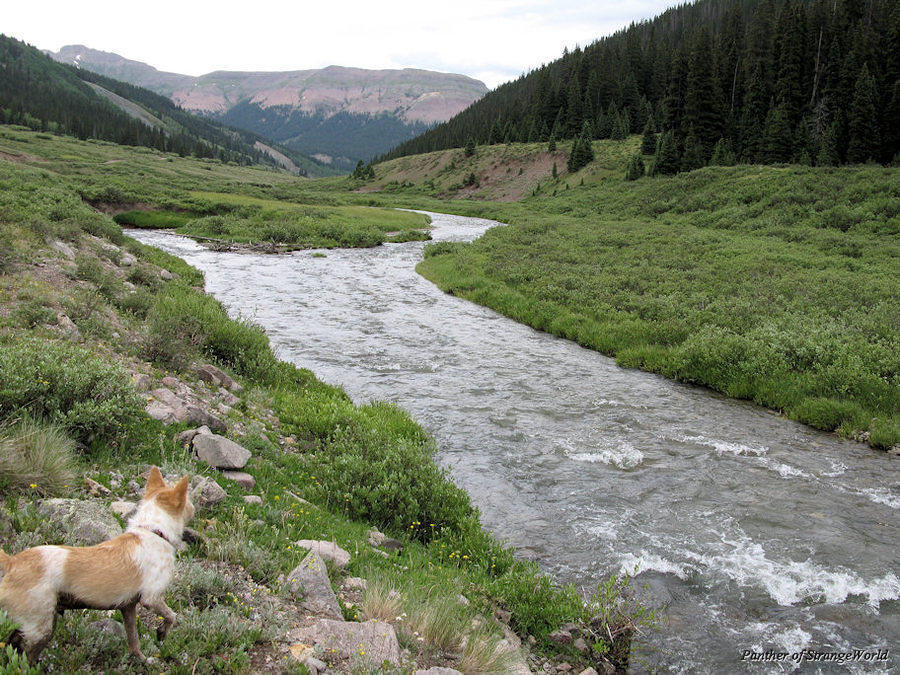 23 - Creek