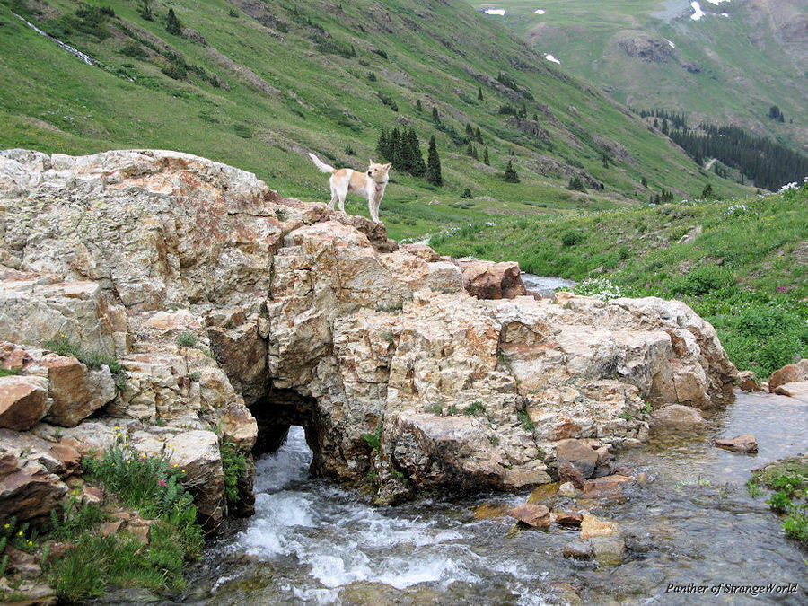 34 - StreamThroughRocks
