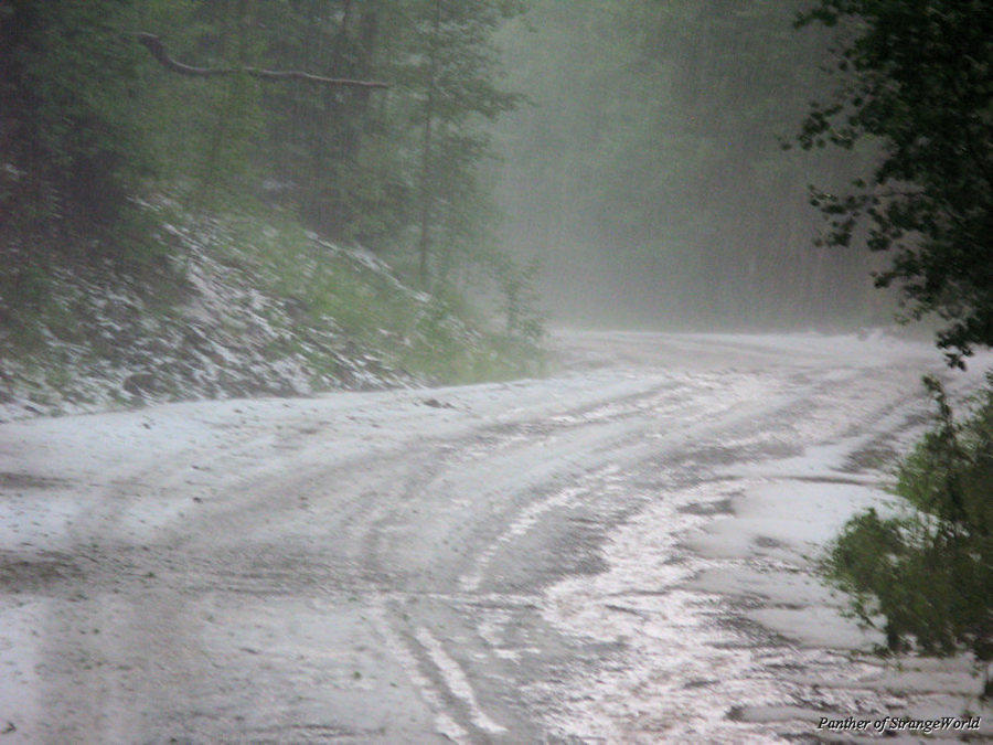 37 - SnowyRoad