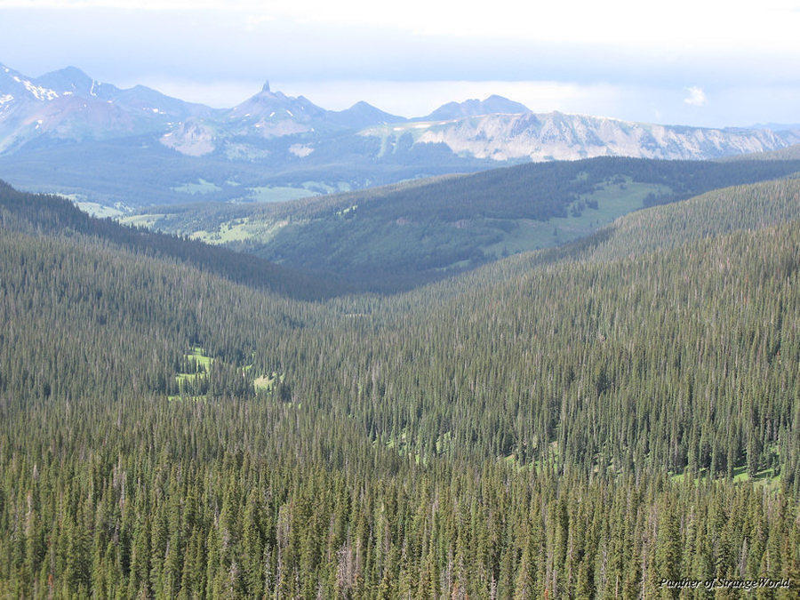 63 - ForestAndMountains