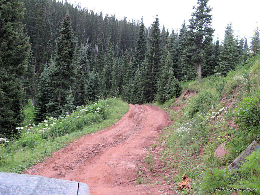 65 - MoreRoughRoad