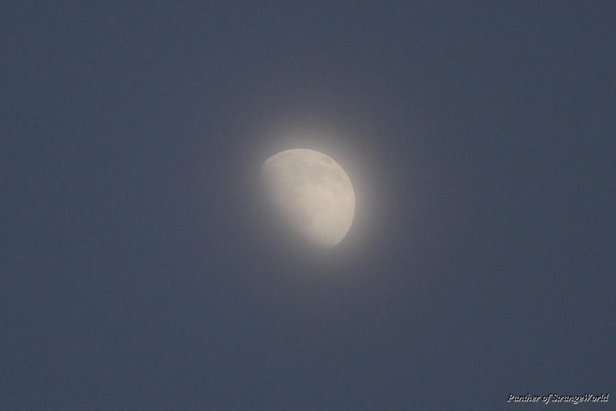 02-HazyMoon