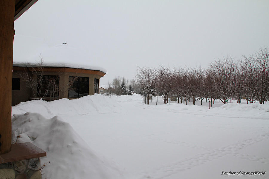 09-Driveway