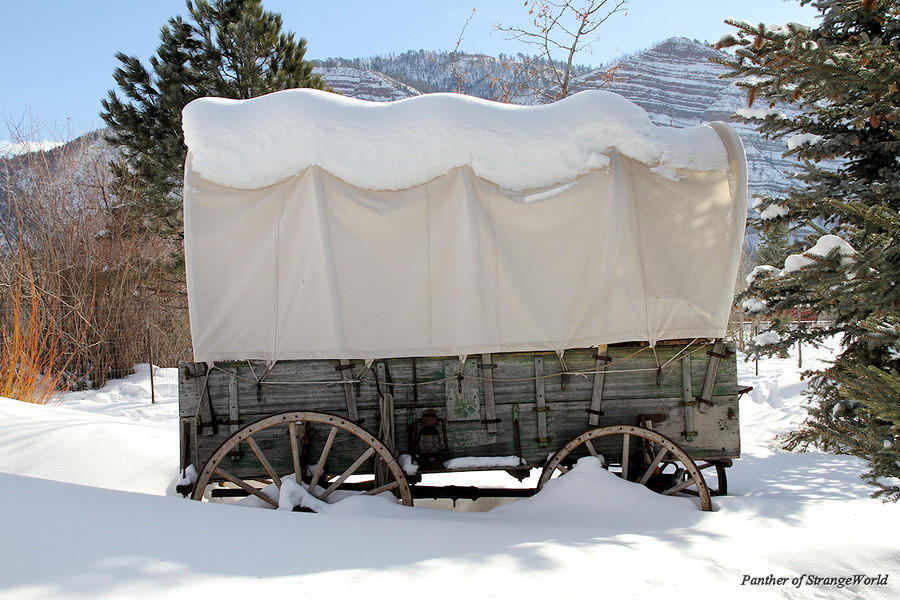 19-Wagon