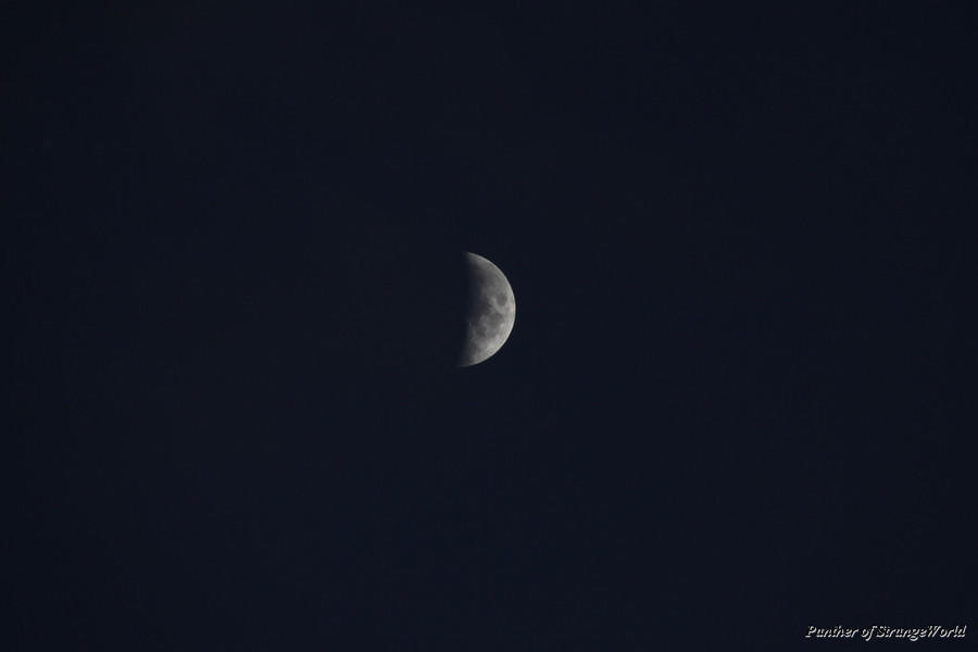04 - Half Moon (5351)