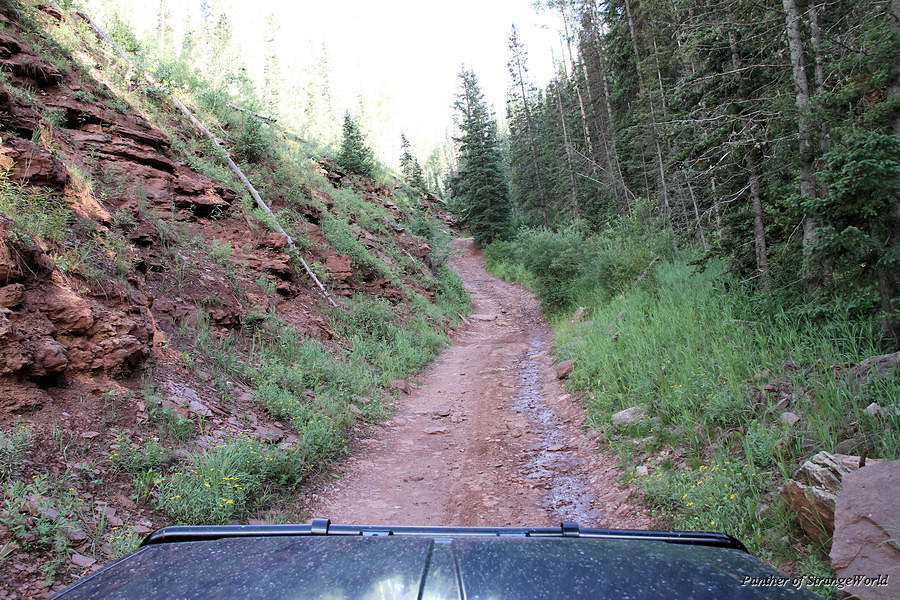 37 - Narrow Trail (6385)