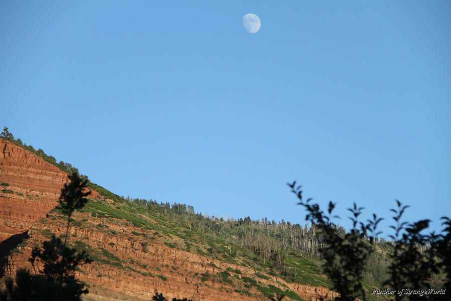40 - View With a Moon (6417)