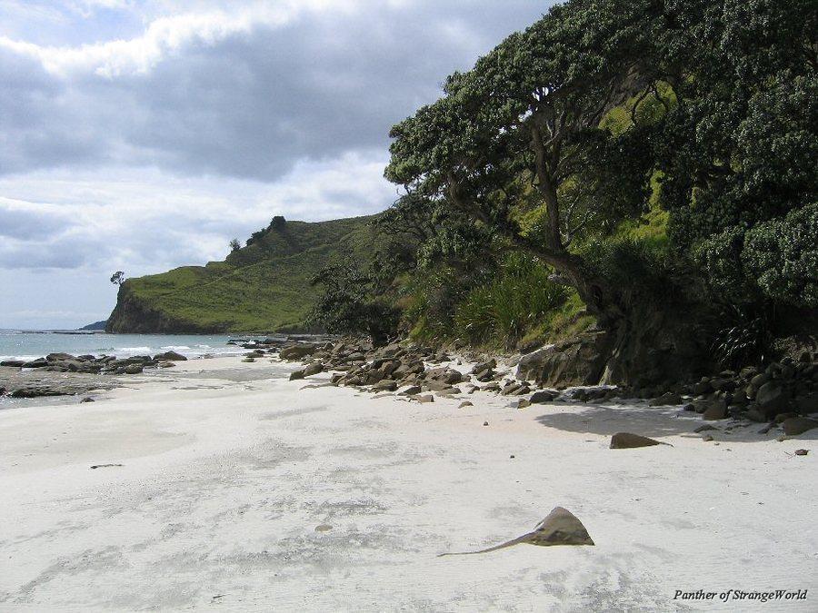Beach9