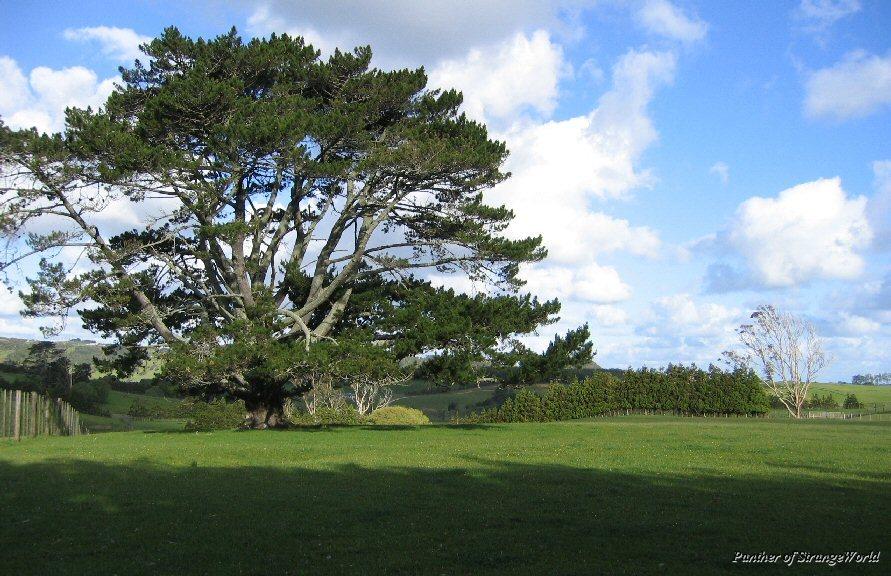 Land2