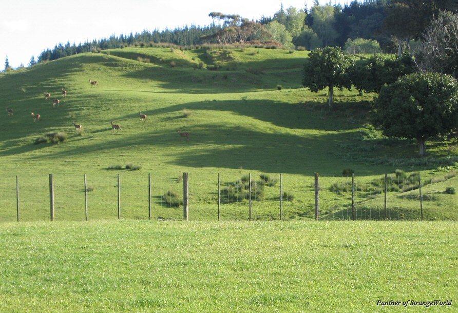 Land4