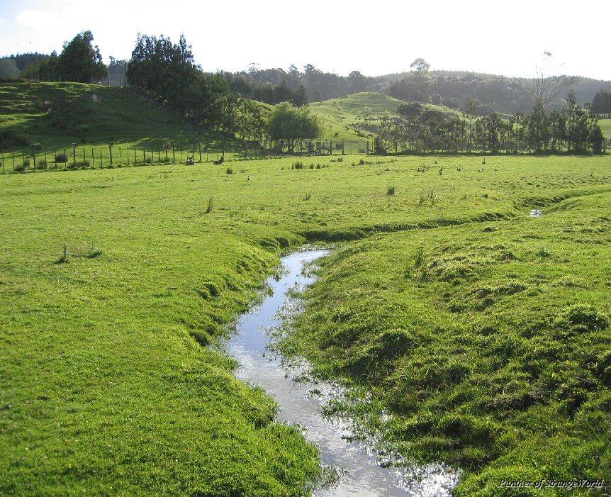 Stream