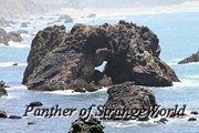 IMG 4135