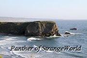 IMG 4175