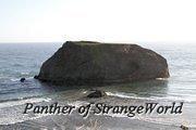 IMG 4187