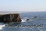 IMG 4190