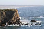 IMG 4191