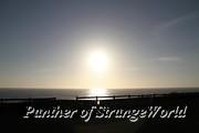 IMG 4207