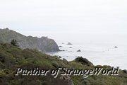 IMG 4262