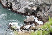 IMG 4264