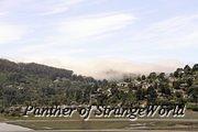 IMG 4411