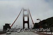 IMG 4436