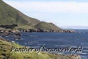 IMG 4471