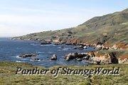 IMG 4476
