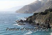 IMG 4489
