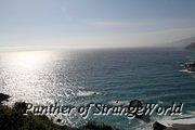 IMG 4492