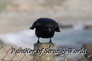 IMG 4507
