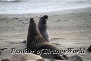 IMG 4543