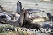 IMG 4561