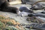 IMG 4562