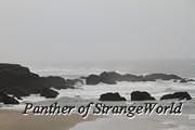 06 - Rocky Beach (3803)