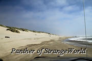 10 - Beach Jeeping (4014)