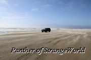 11 - Windy Sand (4049)